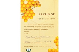 Certificate of our bee sponsorship